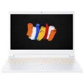 Acer - CN315-71P 15.6